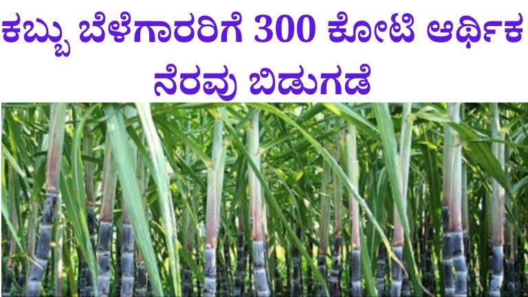 ಕಬ್ಬು ಬೆಳೆಗಾರರಿಗೆ 300 ಕೋಟಿ ಆರ್ಥಿಕ ನೆರವು ಬಿಡುಗಡೆ 2026